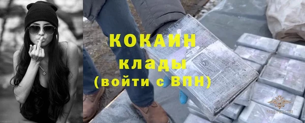 сатива Зерноград