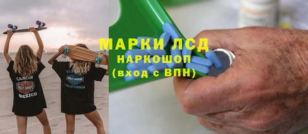сатива Зерноград