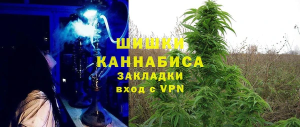 гидра Зеленодольск