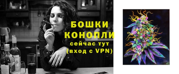 сатива Зерноград